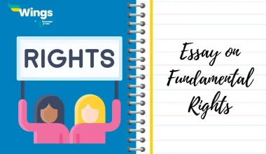 Essay on Fundamental Rights