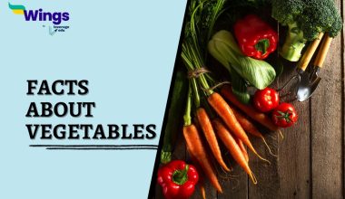 Facts-about-Vegetables