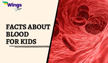 Facts-about-Blood-for-Kids