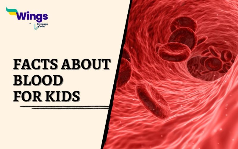 Facts-about-Blood-for-Kids