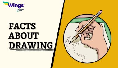 Facts-about-Drawing