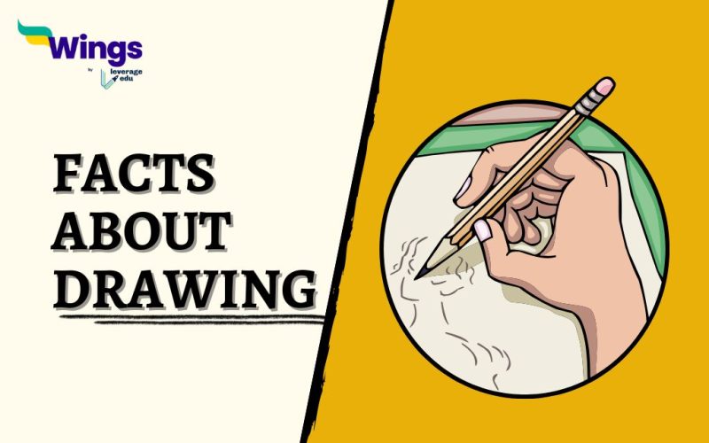 Facts-about-Drawing