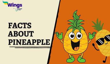 Facts-about-Pineapple