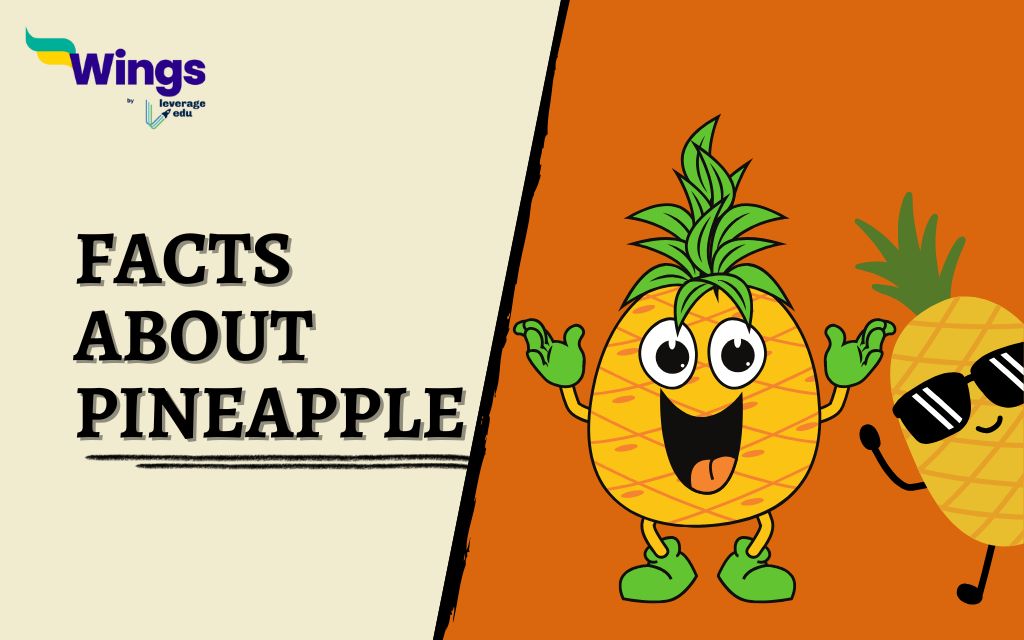 Facts-about-Pineapple