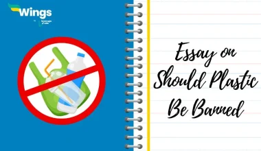 Should plastic be banned essay