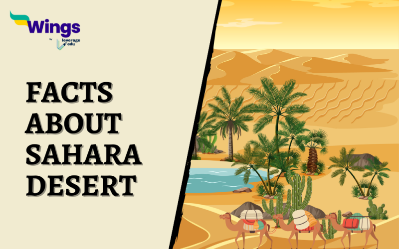 Facts About Sahara Desert