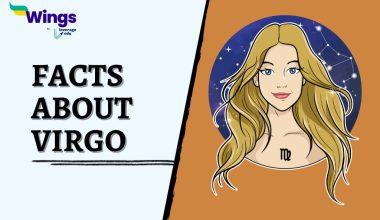 Facts-about-VIRGO