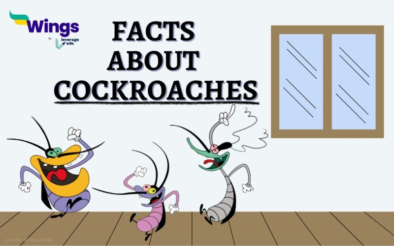 Facts-About-Cockroaches