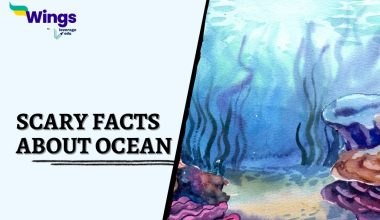 Scary-Facts-About-Ocean