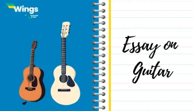 Essay on Guitar