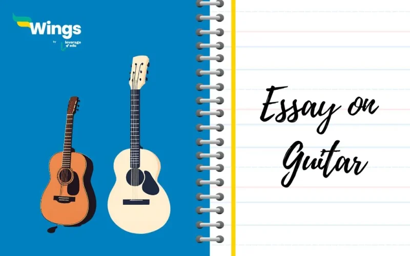 Essay on Guitar