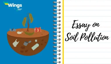 Essay-on-Soil-Pollution