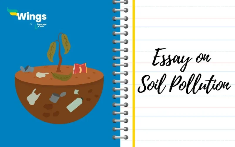 Essay-on-Soil-Pollution