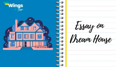 Essay on Dream House