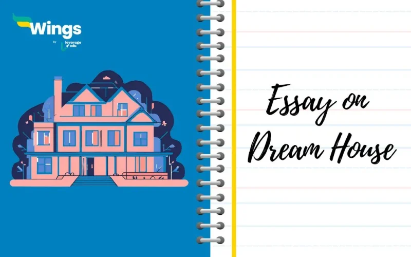 Essay on Dream House