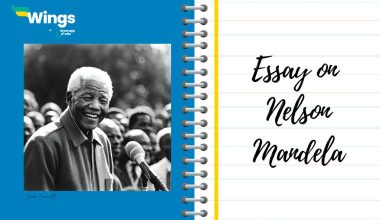 Essay on Nelson Mandela