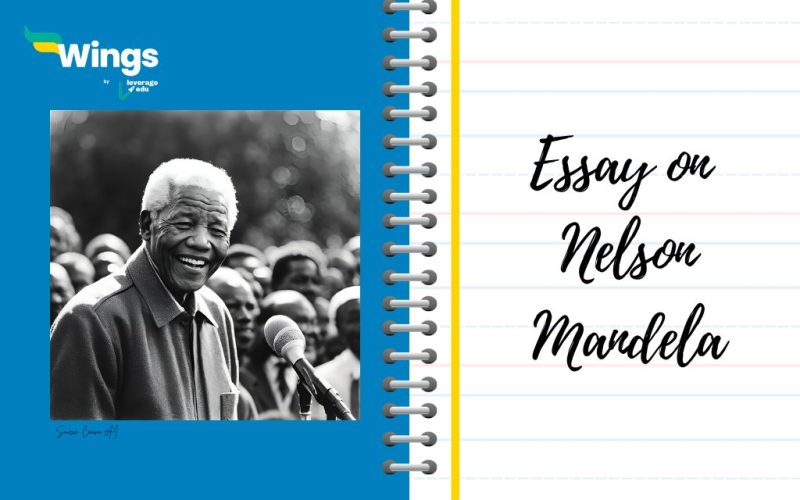 Essay on Nelson Mandela