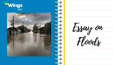 Essay on Floods