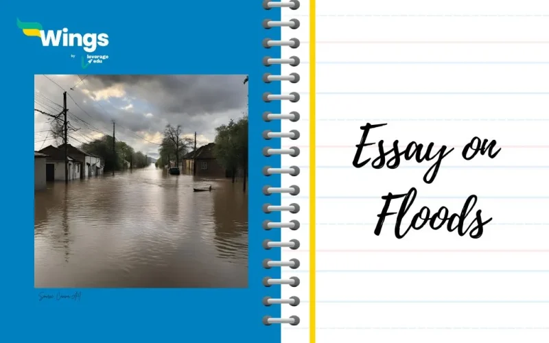 Essay on Floods