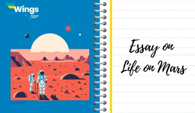 Essay on Life on Mars