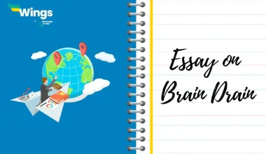 Brain Drain Essay