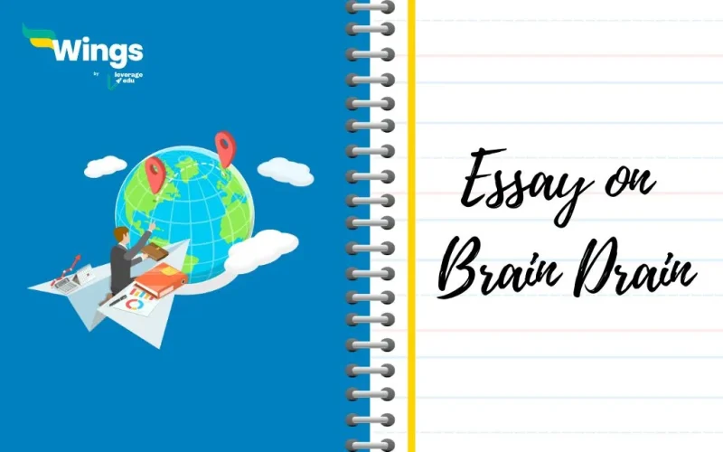 Brain Drain Essay