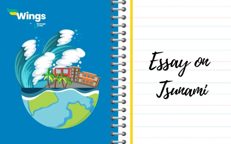 Essay on Tsunami