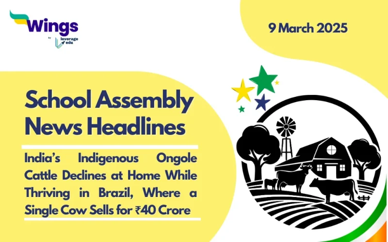 School Assembly News Headlines 9 March 2025