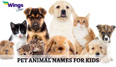 Pet Animal Names for Kids