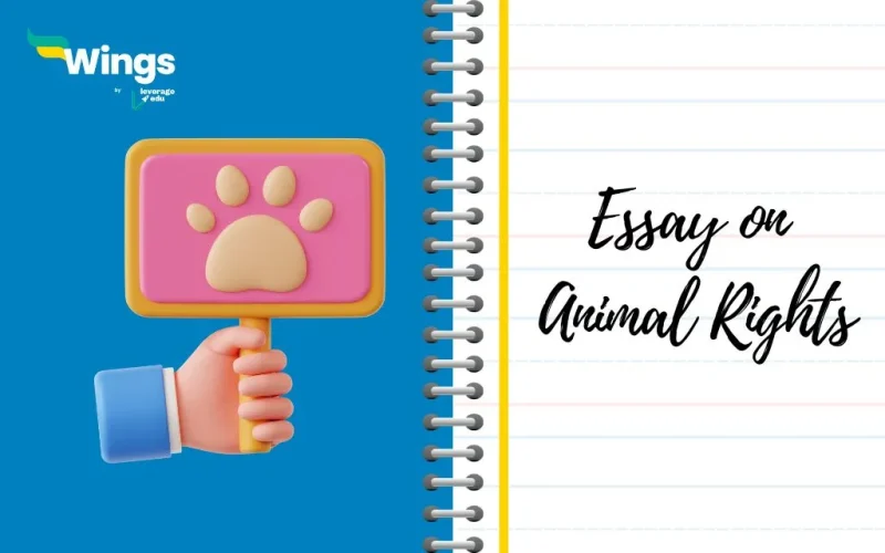 Essay on Animal Rights
