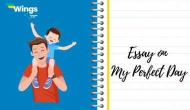 Essay on My Perfect Day