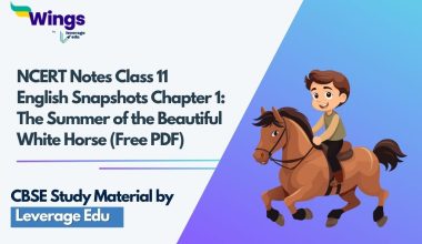 NCERT-Notes-Class-11-English-Snapshots-Chapter-1-The-Summer-of-the-Beautiful-White-Horse