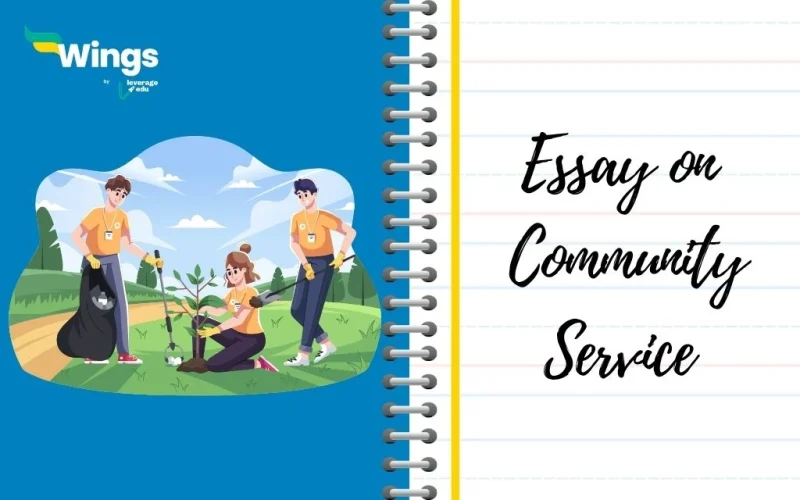 Essay on Community Service
